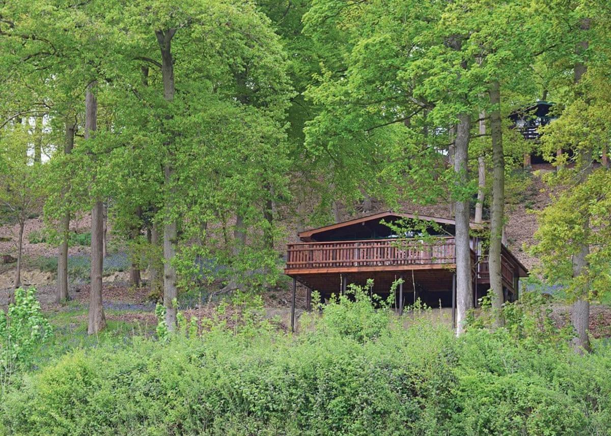 מונטגומרי Penllwyn Lodges מראה חיצוני תמונה