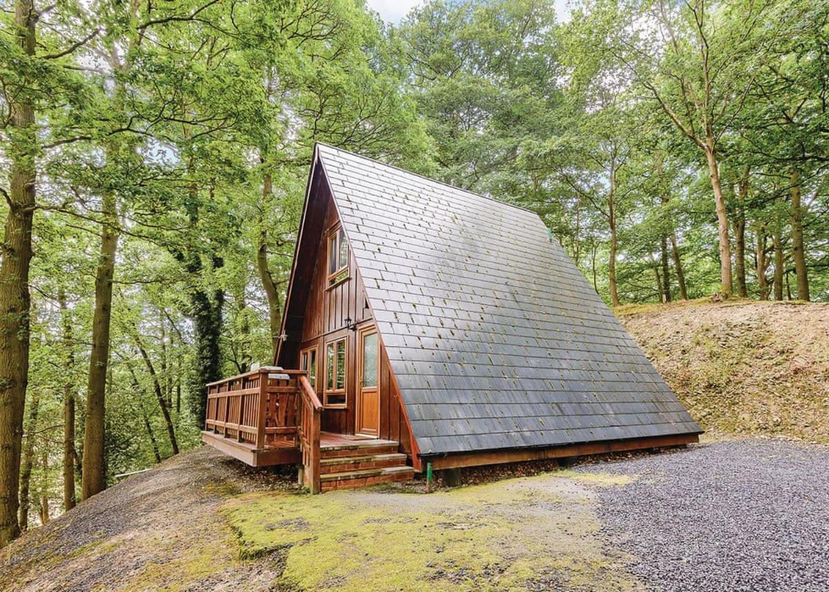 מונטגומרי Penllwyn Lodges מראה חיצוני תמונה
